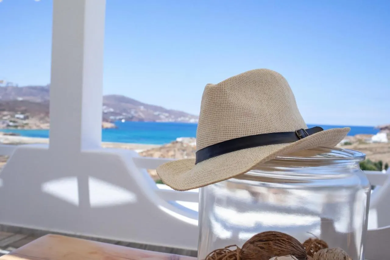 Ftelia View Apartment 0*, Ftelia (Mykonos) Greece